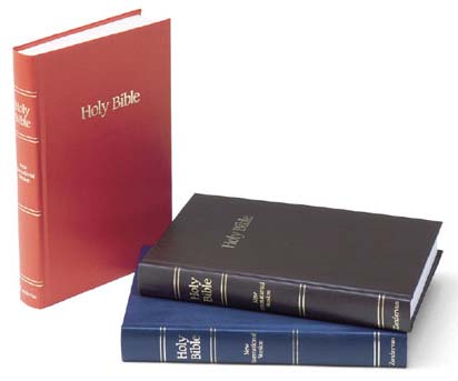 NIV Pew Bible (Brown) Case of 24