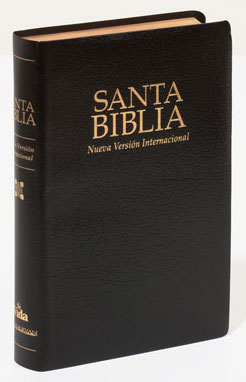 Spanish NVI (case of 32)