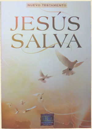 Spanish Bible (case of 24)