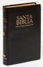 Spanish NVI (case of 32)